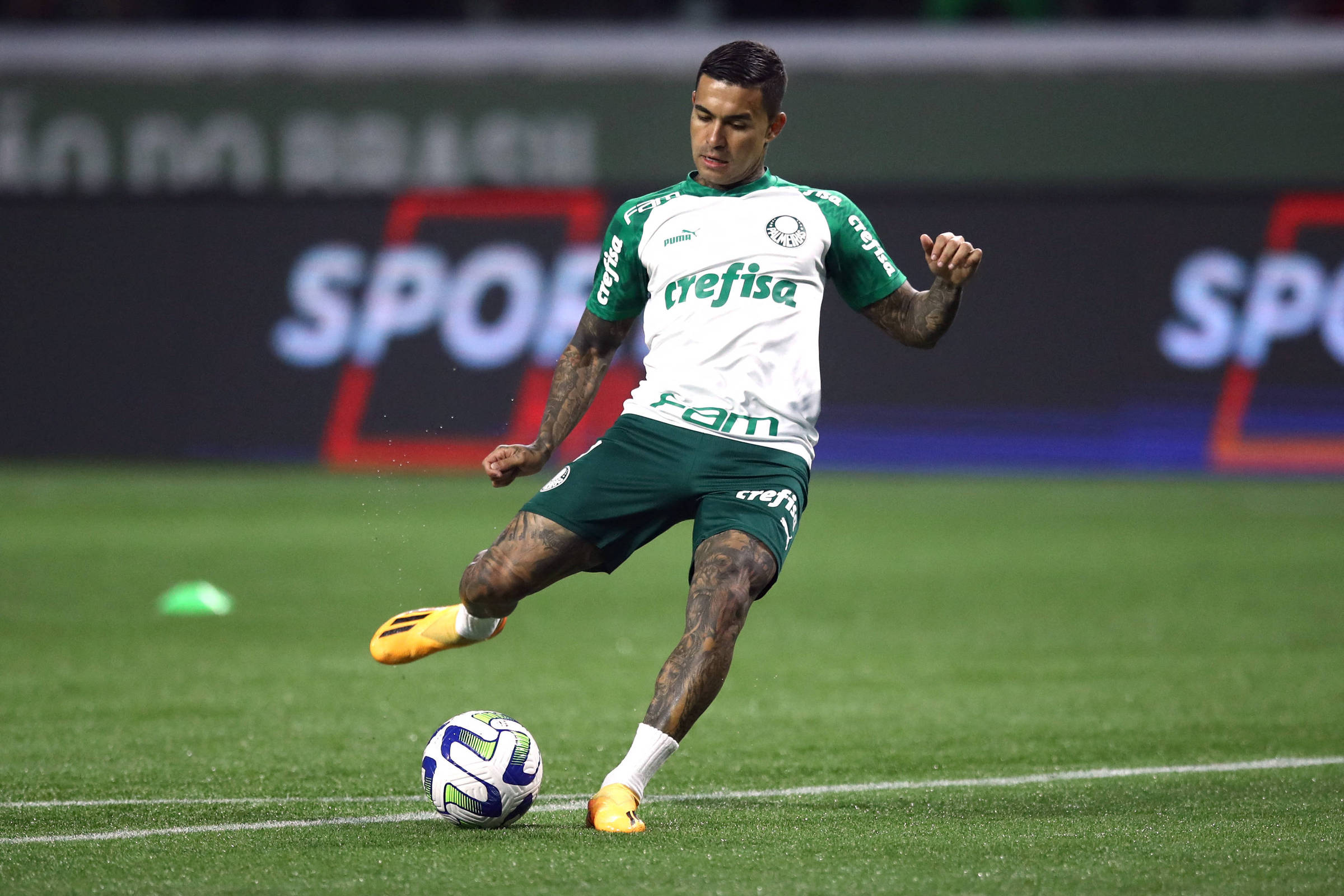 ‘Pelo Palmeiras, está vendido’, diz Leila Pereira sobre Dudu – 17/06/2024 – Esporte