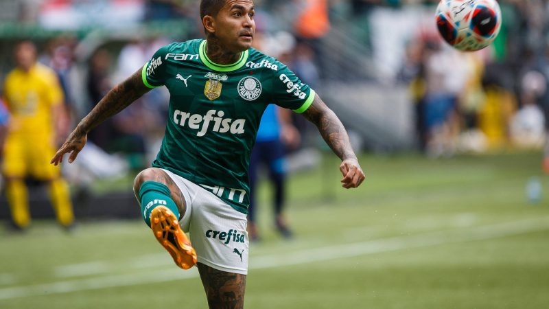 Cruzeiro retira proposta, e Dudu diz que fica no Palmeiras – 17/06/2024 – Esporte