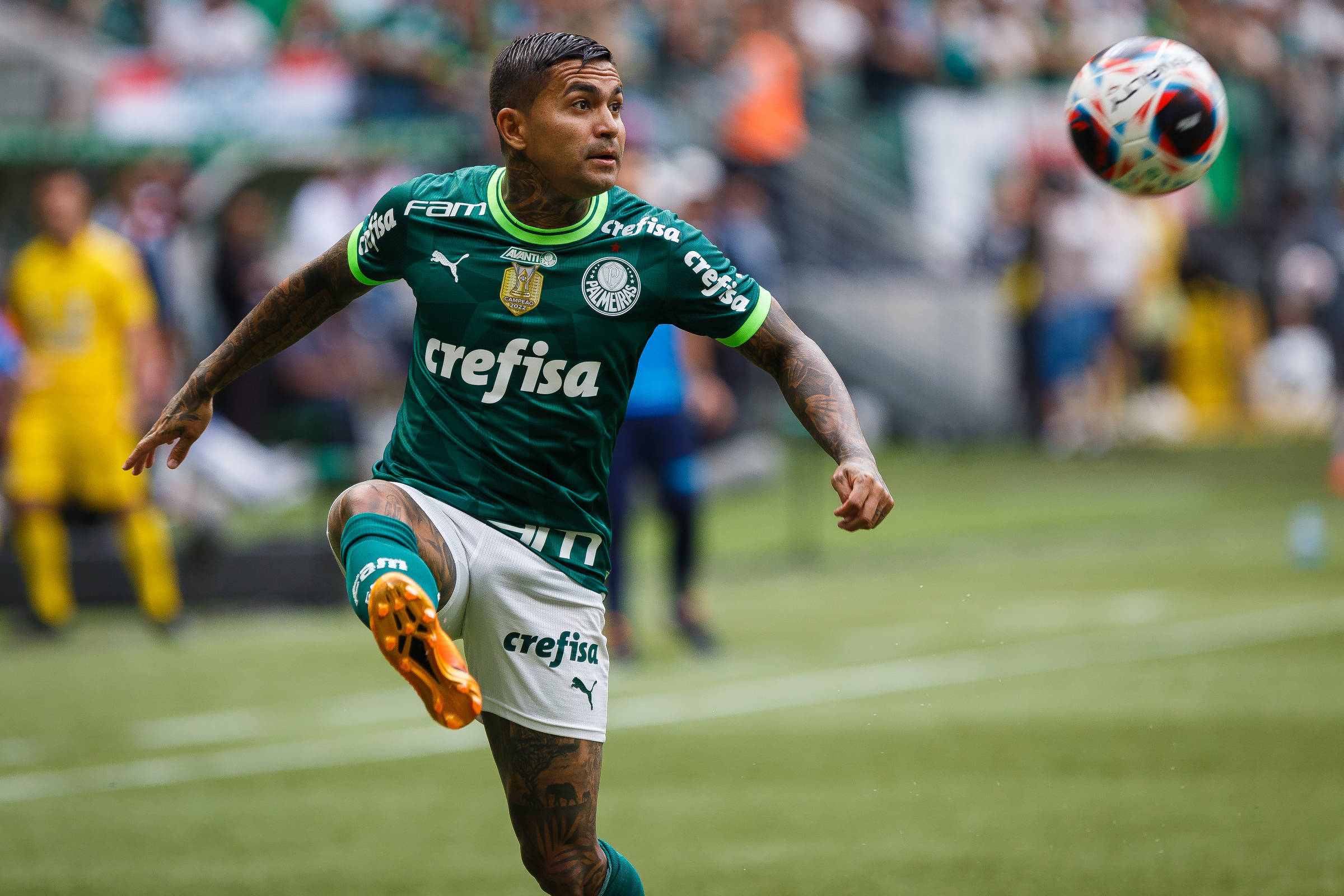 Cruzeiro retira proposta, e Dudu diz que fica no Palmeiras – 17/06/2024 – Esporte