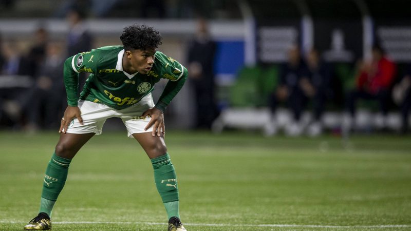 Endrick se despede do Palmeiras em jogo sem gols – 30/05/2024 – Esporte