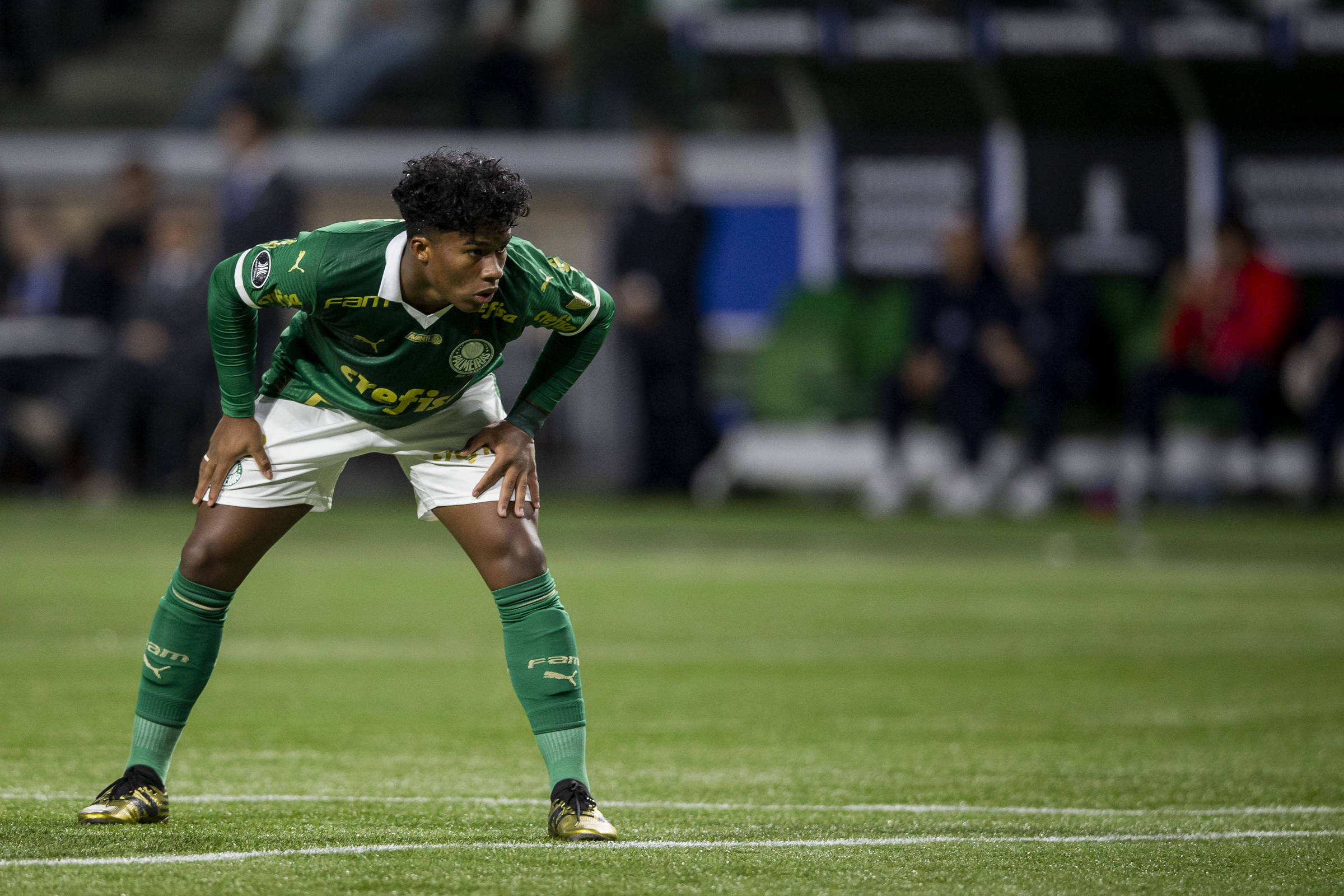Endrick se despede do Palmeiras em jogo sem gols – 30/05/2024 – Esporte