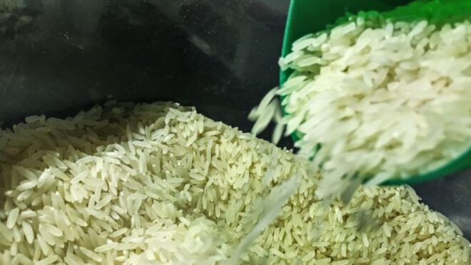 Governo arremata 263 mil toneladas de arroz após Justiça derrubar liminar