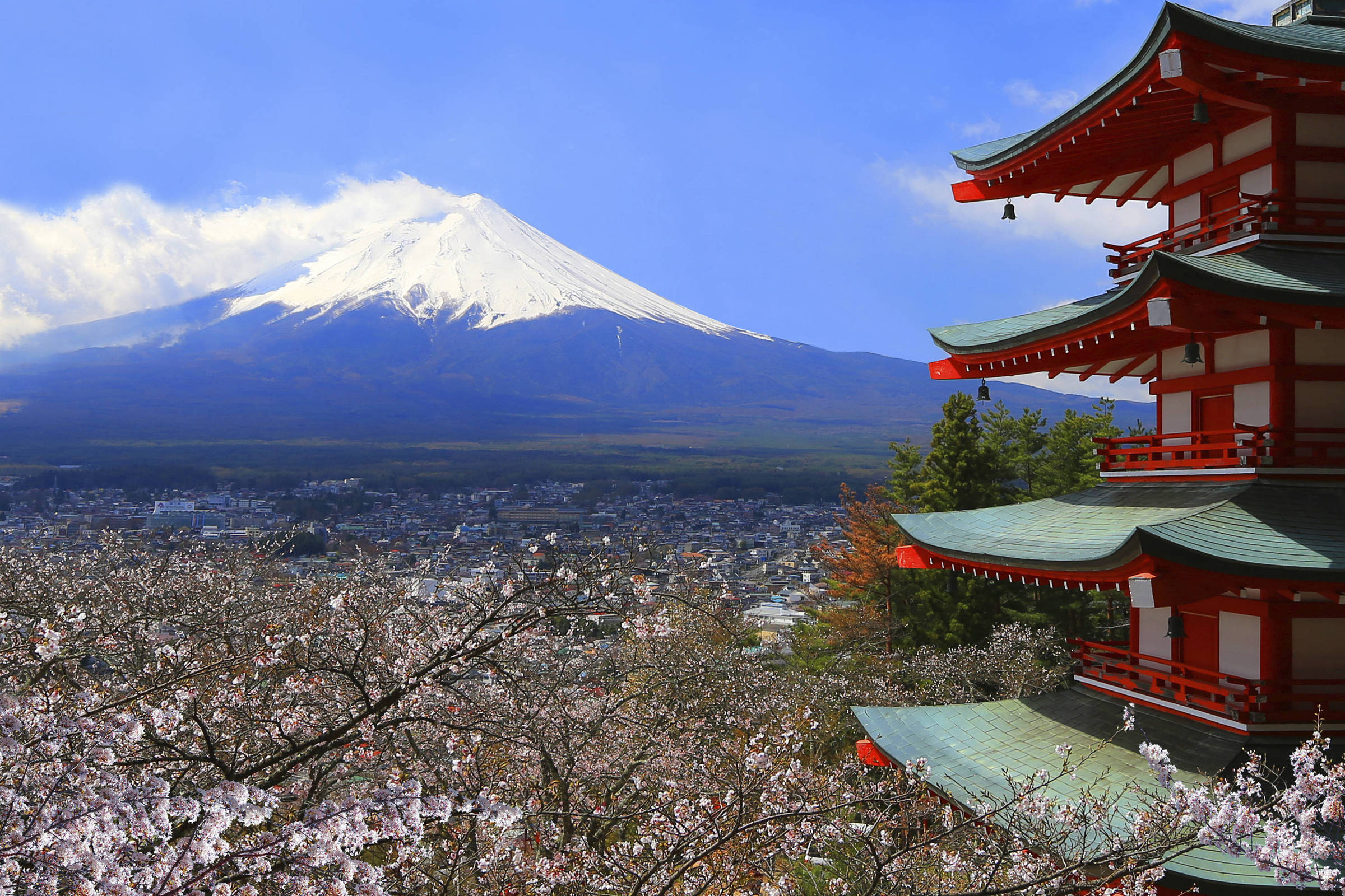Japão implementa reservas online para visitar monte Fuji – 13/05/2024 – Turismo