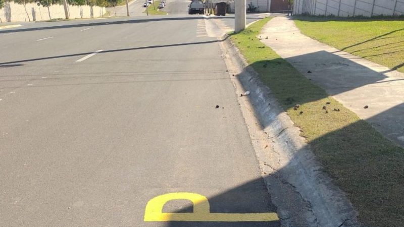 Linha 313 do serviço de transporte coletivo atenderá Villa Vic a partir da próxima semana