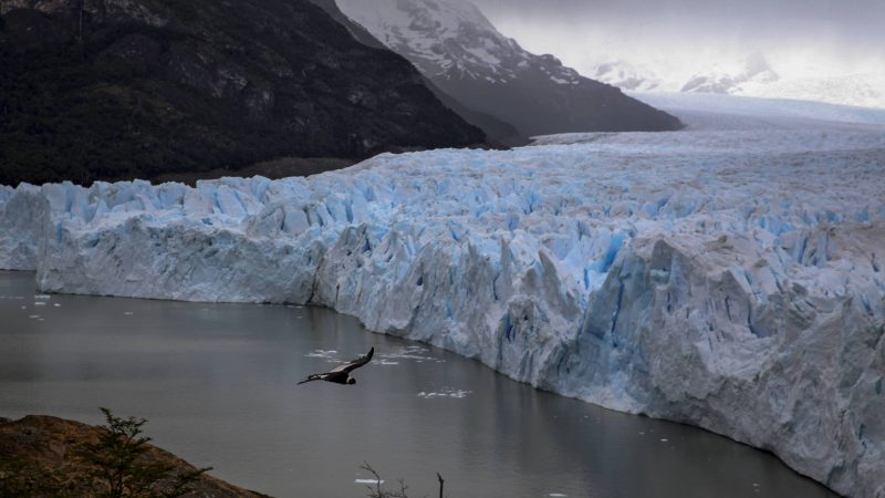 Perito Moreno: conheça geleira na Patagônia argentina – 26/06/2024 – Turismo