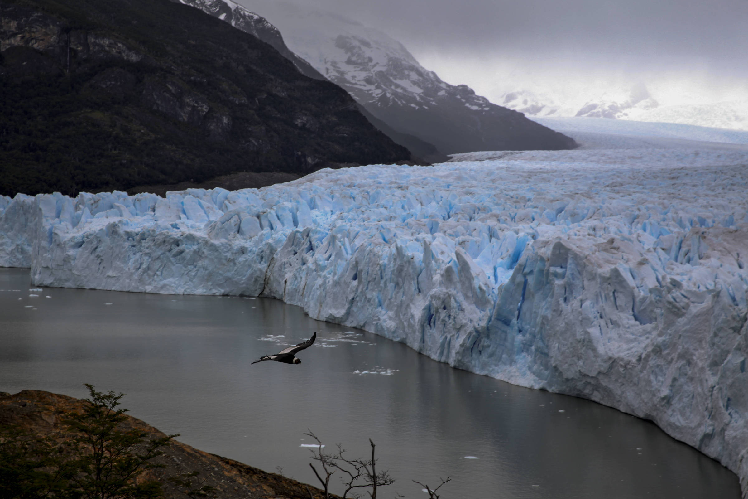 Perito Moreno: conheça geleira na Patagônia argentina – 26/06/2024 – Turismo