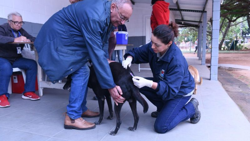 Prefeitura de Indaiatuba contabiliza 92 animais microchipados em ação no bairro Tombadouro