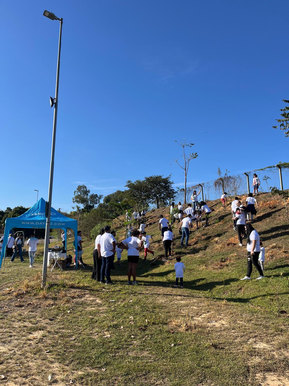 Saae e parceiros promovem plantio de 40 mudas de árvores no Parque do Mirim