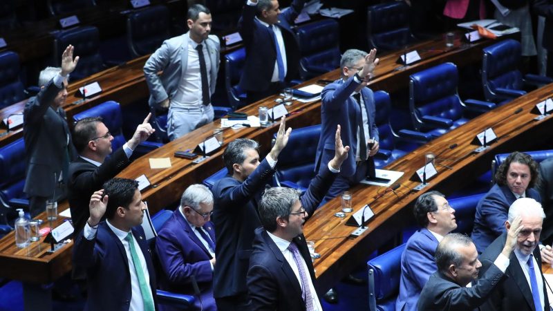 Senado aprova taxação de 20% para compras internacionais de até US$ 50