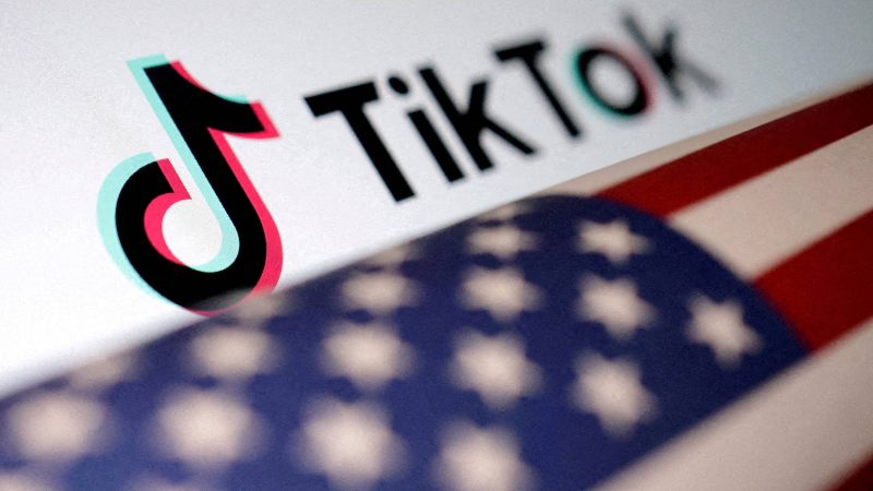 EUA processam TikTok por violações de privacidade infantil – 02/08/2024 – Mercado