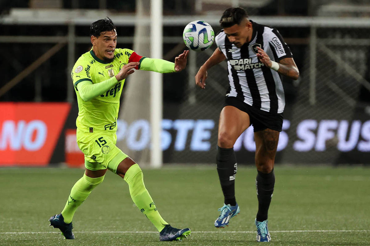 Botafogo x Palmeiras, o confronto do ano – 15/07/2024 – Sandro Macedo