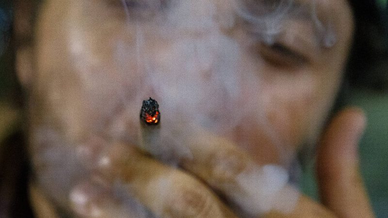 Descriminalização do porte da maconha é confundido nas redes com liberação da droga – 01/07/2024 – Encaminhado com Frequência