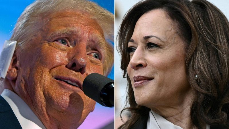Donald Trump e Kamala Harris: Vale do Silício se divide – 25/07/2024 – Mercado