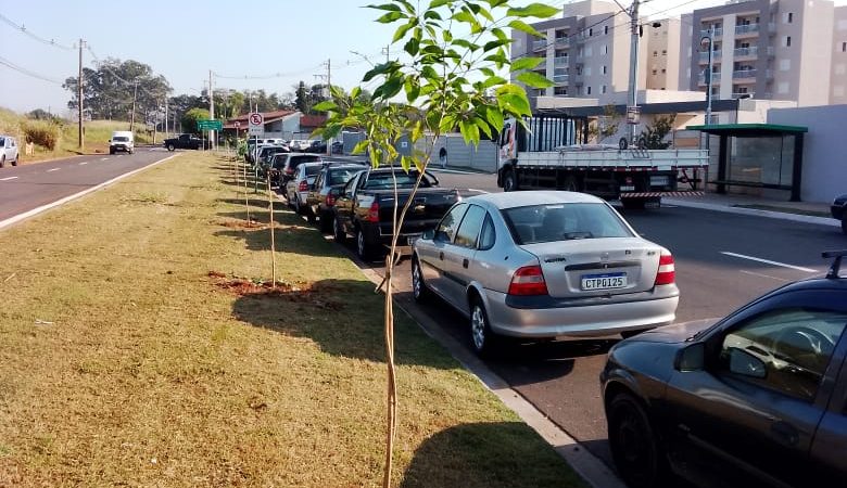 Mais 61 mudas de árvores foram plantadas pela Prefeitura de Paulínia. – Jornal Aqui Paulínia