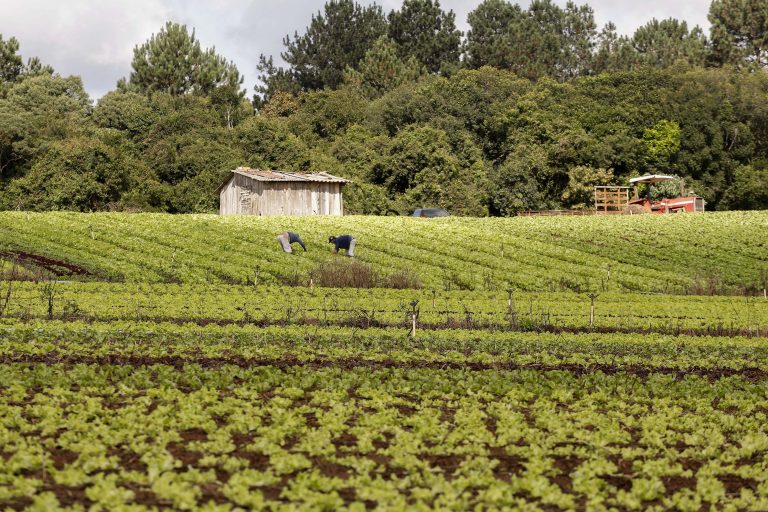 Pequenos produtores rurais terão novo prazo para renegociar dívidas – Notícias
