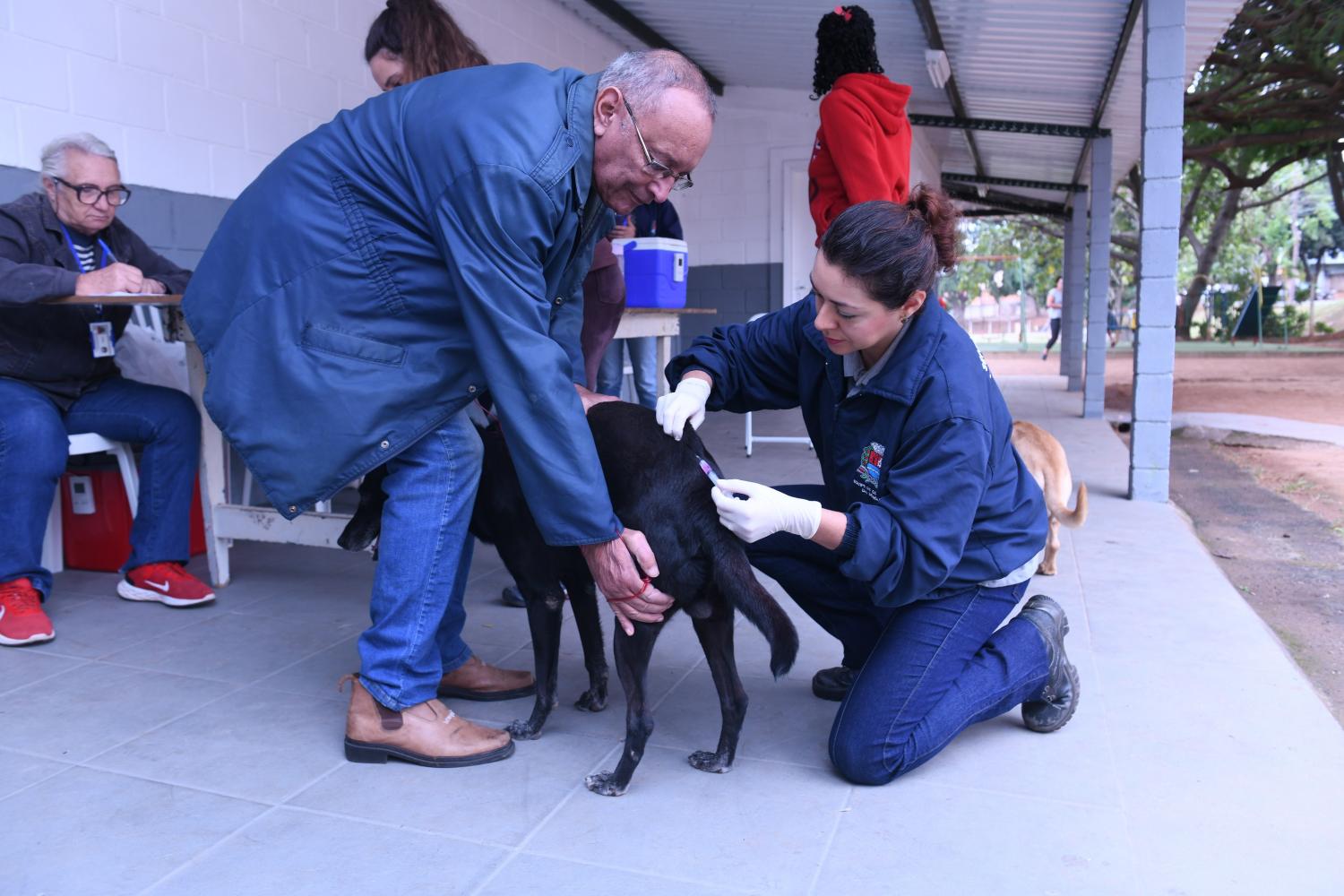 Sábado tem vacinação contra raiva animal no bairro Parque das Bandeiras