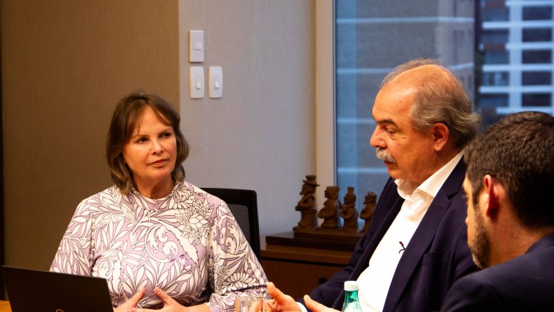 Ana Perugini vai ao BNDES e discute construção de hospitais e moradias estudanti