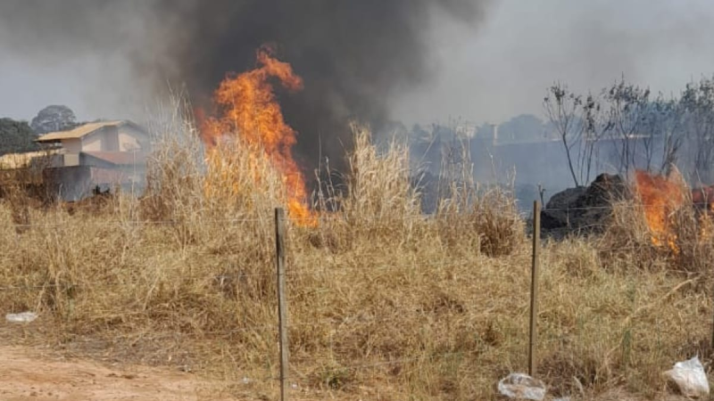 48 cidades paulistas seguem com estado de alerta para queimadas