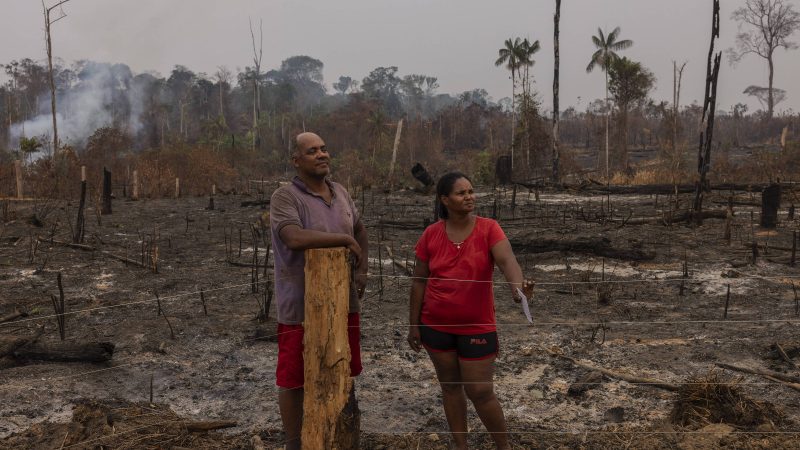 Brasil sofre com queimadas e desinformação – 16/09/2024 – Encaminhado com Frequência