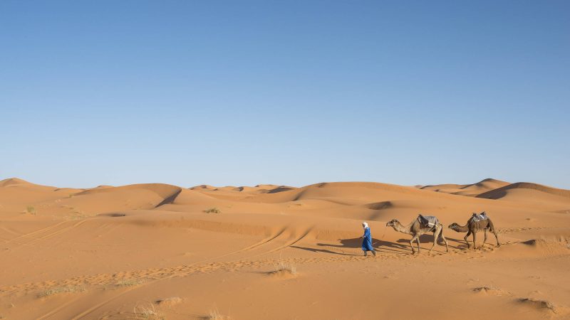 Como é passar uma noite no deserto do Saara, no Marrocos – 04/09/2024 – Turismo