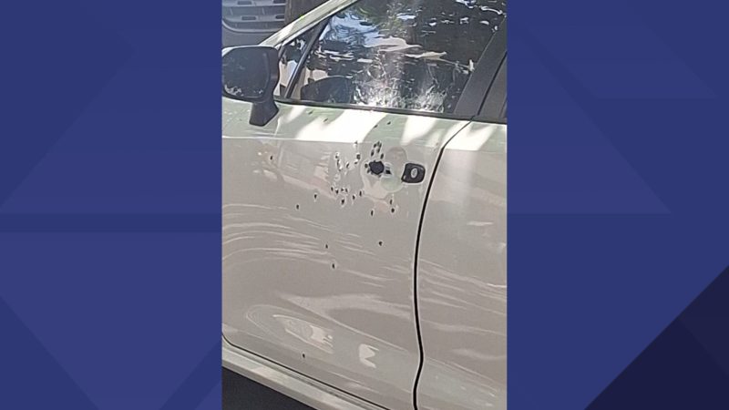 Homem assassinado dentro de carro blindando, em Del Castilho, era livago a contravenção