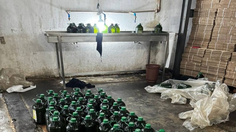 Não existe azeite barato. Não seja trouxa – 25/09/2024 – Cozinha Bruta