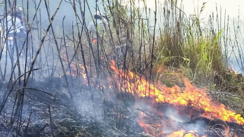Paraná bate recorde de incêndios rurais