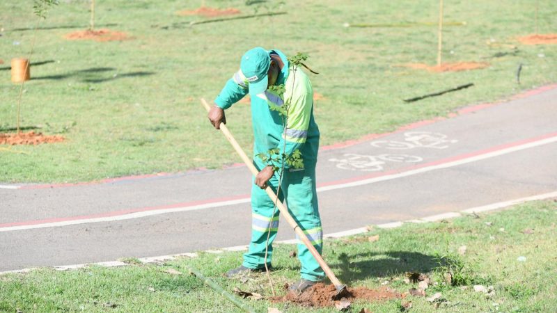 Prefeitura comemora Dia da Árvore com plantio de 500 mudas no Centro Esportivo "Rei Pelé"