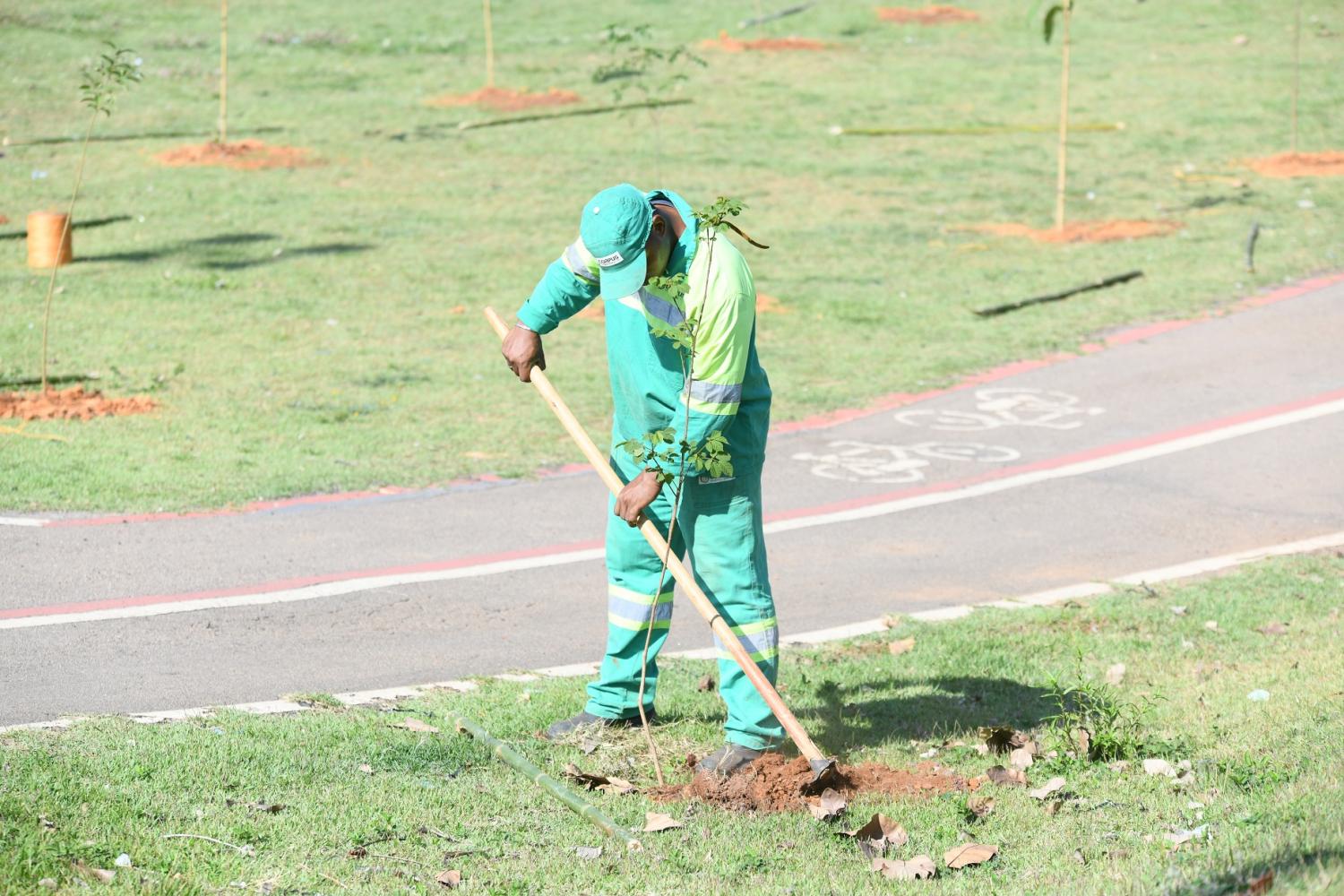 Prefeitura comemora Dia da Árvore com plantio de 500 mudas no Centro Esportivo "Rei Pelé"