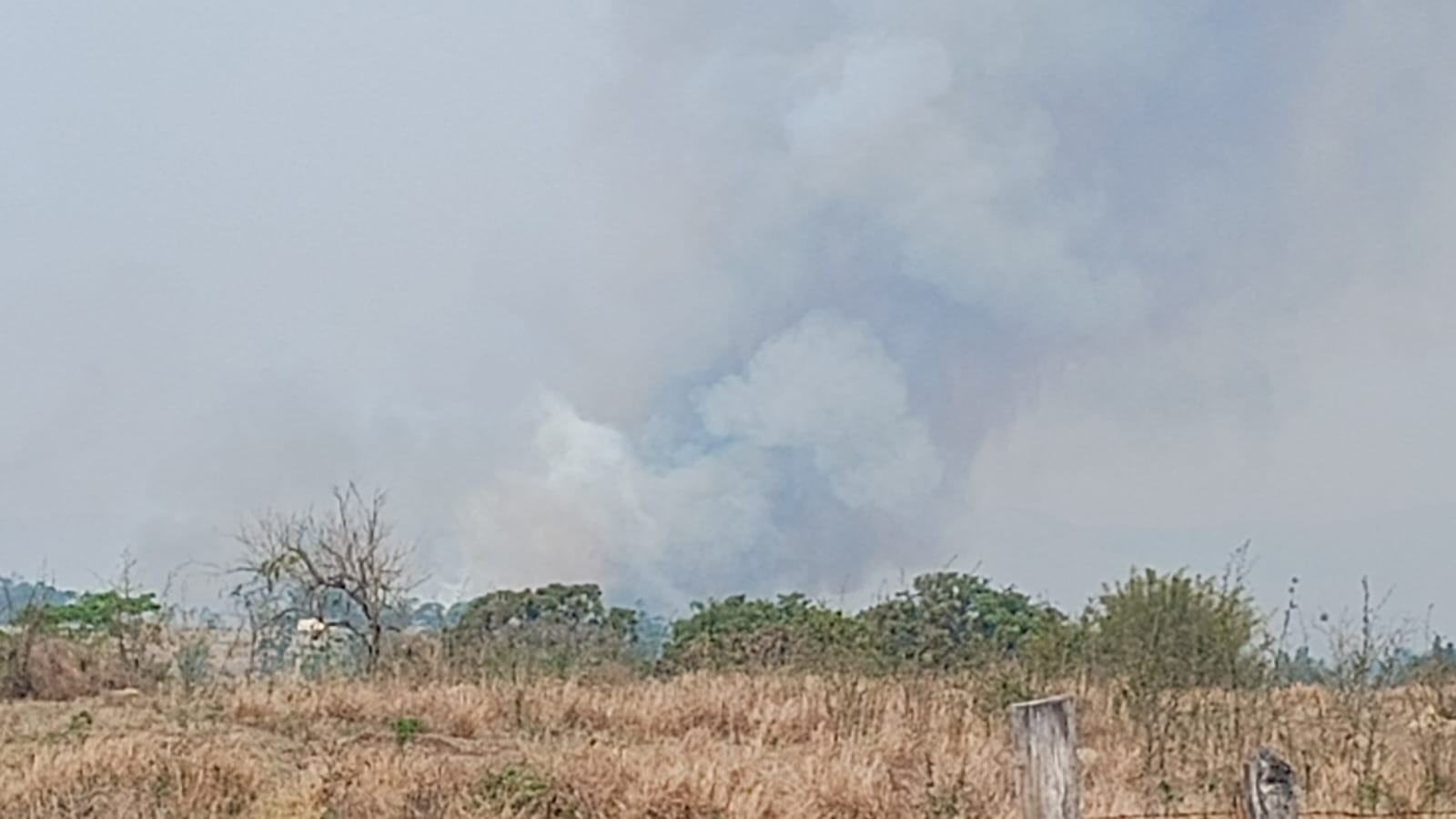 Queimada atinge outra área próxima ao Inpe, em Cachoeira Paulista