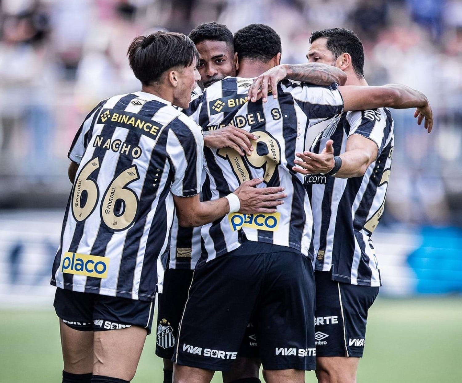 Santos bate o Brusque, volta a vencer na Série B e alivia pressão sobre Carille