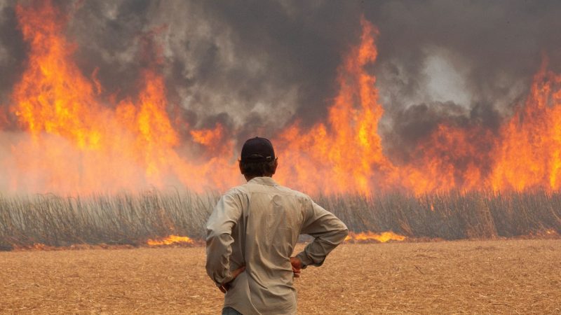 Sobe para 17 o número de presos envolvidos em incêndios de vegetação em SP