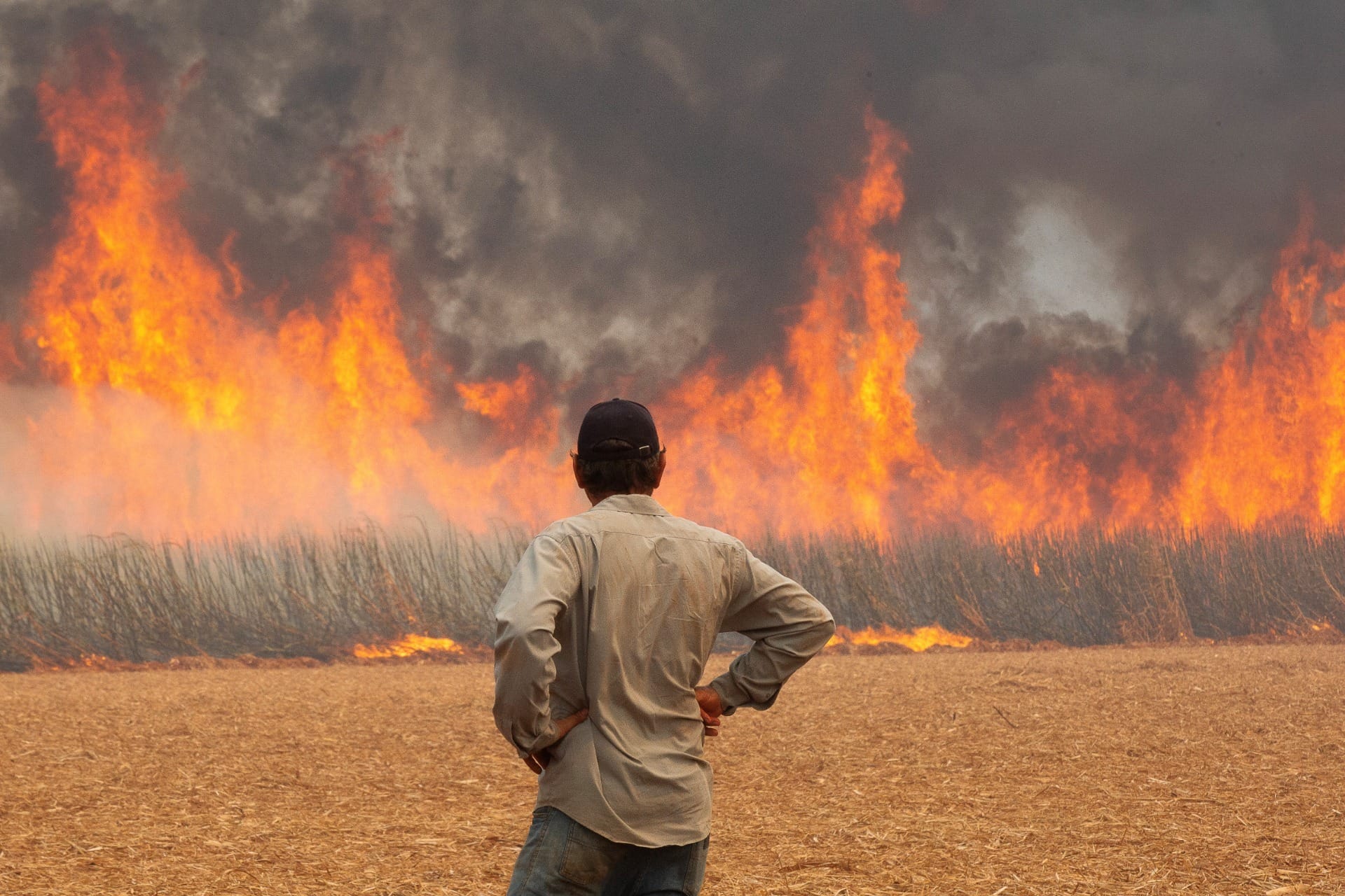 Sobe para 17 o número de presos envolvidos em incêndios de vegetação em SP