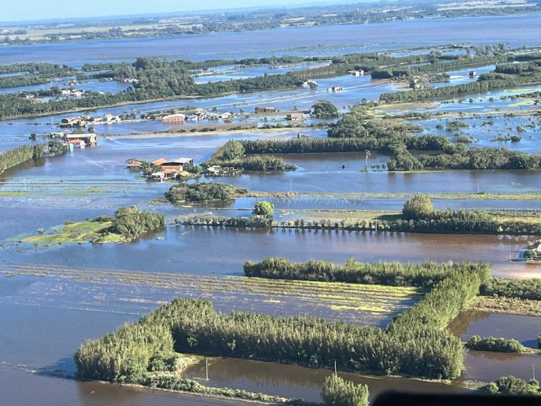 Texto prevê descontos em empréstimos para empresas e produtores rurais atingidos pelas enchentes no Rio Grande do Sul – Notícias