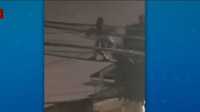 Vídeo: Homem tenta roubar fios de cobre, fica com medo de ser agredido e pede “chama a polícia”