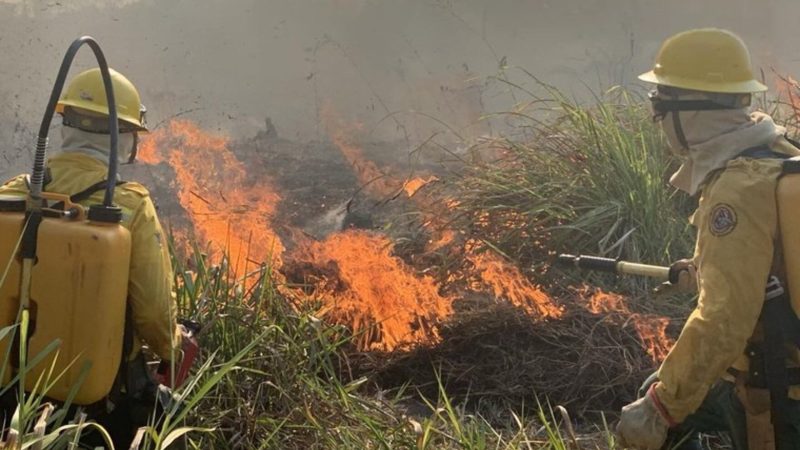AGU aciona autores de queimadas em vegetação nativa e cobra R$ 89 milhões