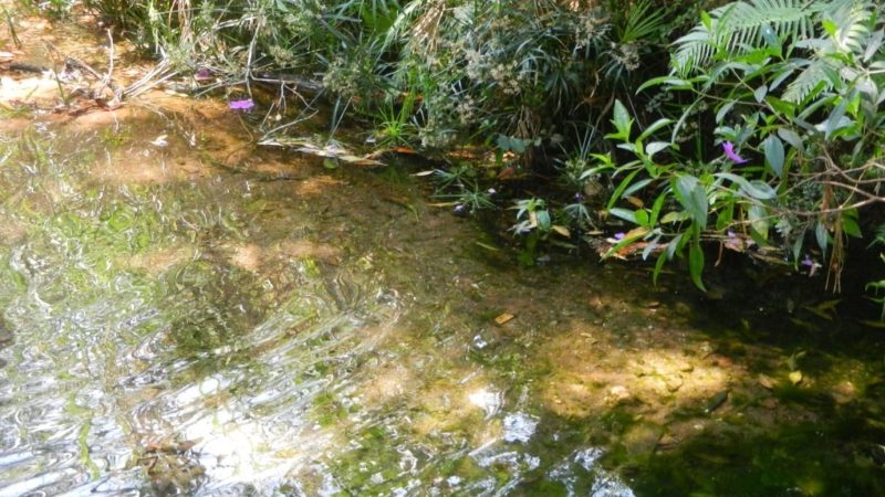 Chuvas não repõem toda a água consumida do Aquífero Guarani, alerta estudo