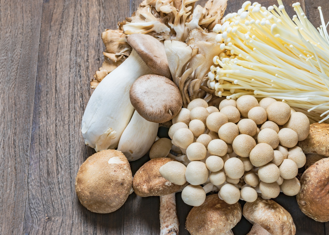 Cogumelos comestíveis: produto ainda é pouco consumido no Brasil