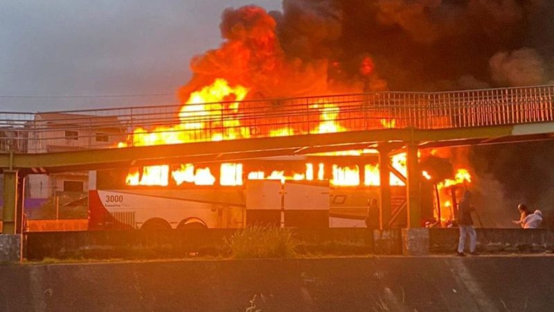 Cruzeiro lamenta a morte de torcedor em briga com torcedores do Palmeiras