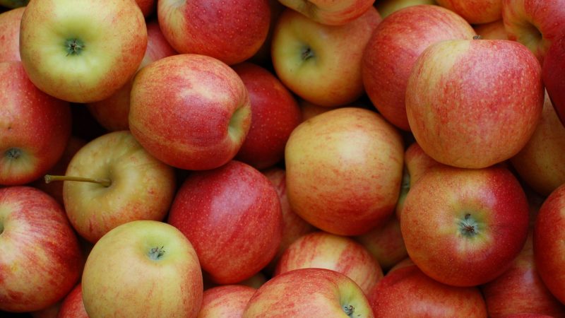 Dia Internacional da maça: a fruta está entre as três mais consumidas no Brasil