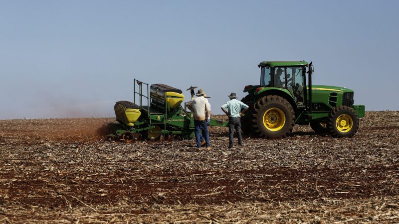 Estimativa da produção agrícola de 2024 indica queda de 6,4% em relação ao ano anterior
