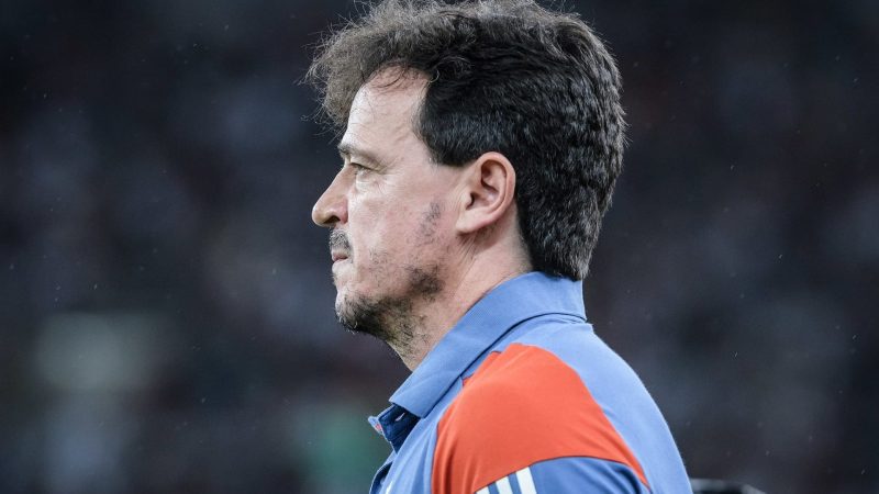 Fernando Diniz que elenco do Cruzeiro “precisa melhorar a gana por vencer”