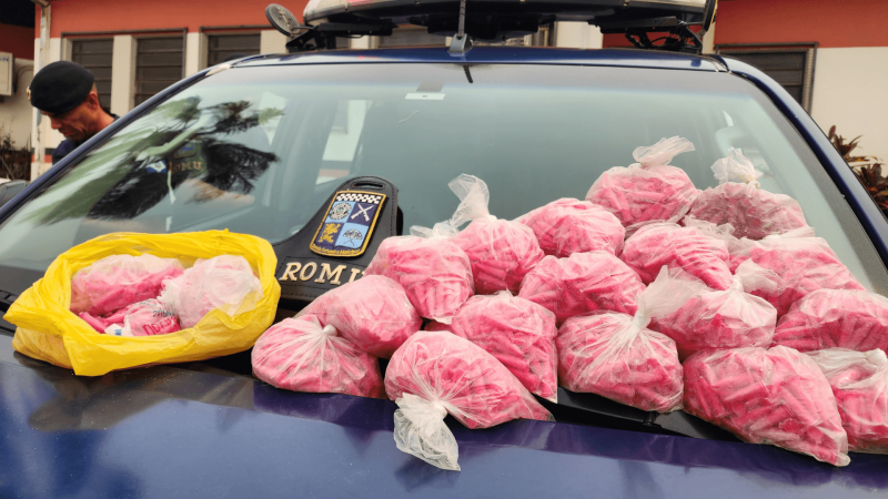 GCM de Limeira apreende cerca 2,5 mil pinos de cocaína no bairro Abílio Pedro