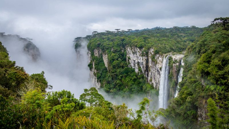Impasse entre empresa e governo afeta gestão de parques – 16/10/2024 – Ambiente