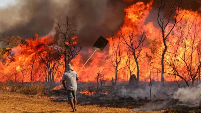 Incêndios florestais atingem quase 19 milhões de pessoas e somam R$ 2 bi em prejuízos