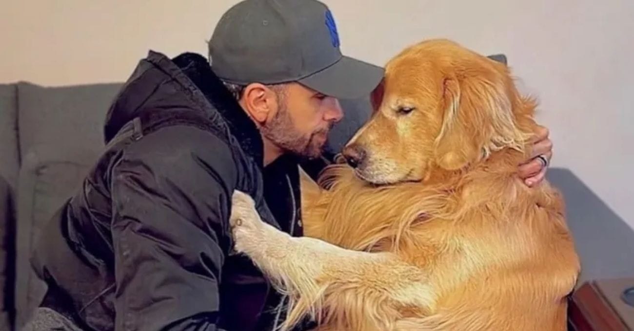Lei Joca: Governo lança novas regras para transporte de pets em aviões
