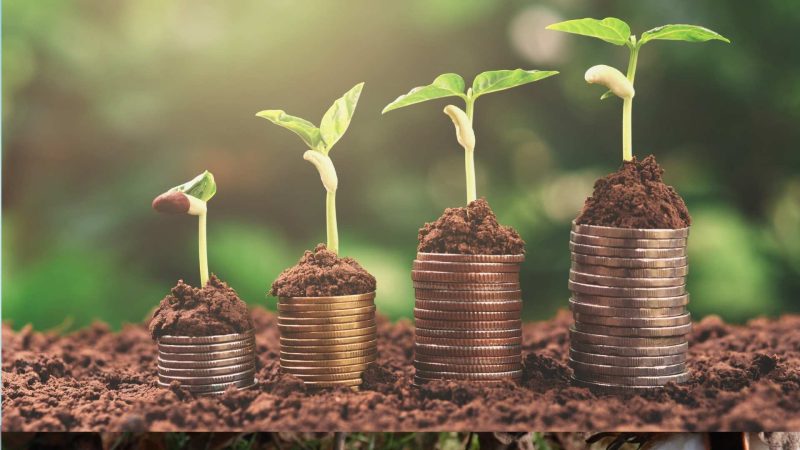 Modalidade de Seguro Rural arrecada R$ 1.6 bi, no primeiro semestre de 2024