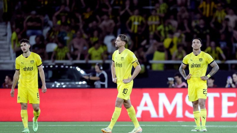 Não é um gramado para praticar esse esporte