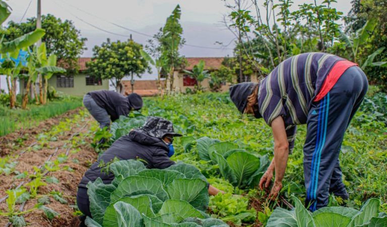 Projeto destina parte dos recursos de loterias para o crédito rural – Notícias