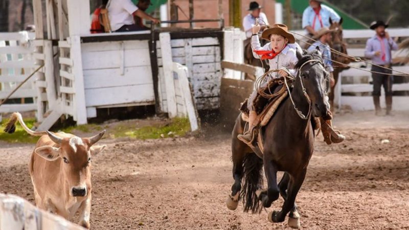 Sancionada Lei que reconhece Rodeio Crioulo como cultura popular
